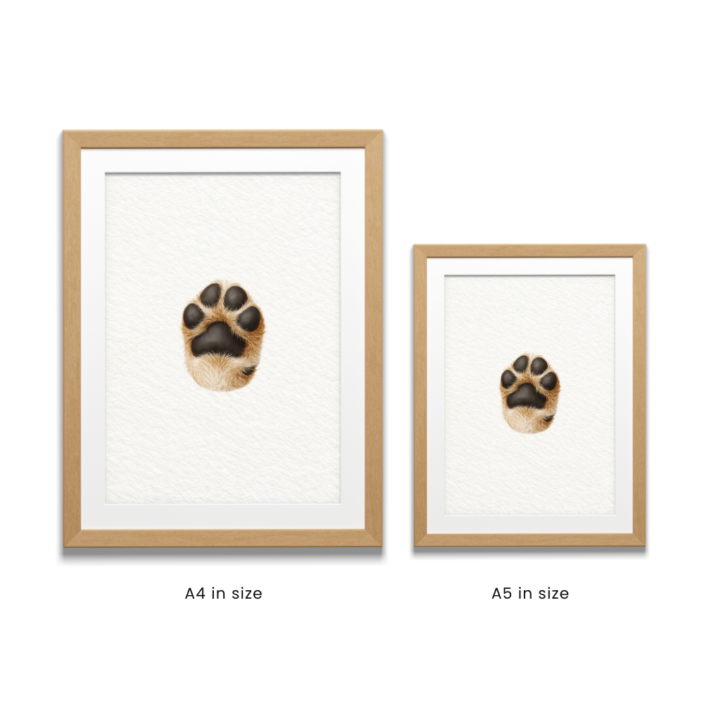 Gimme Paw Portrait