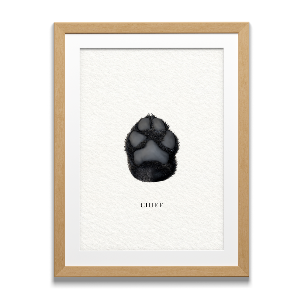 Gimme Paw Portrait