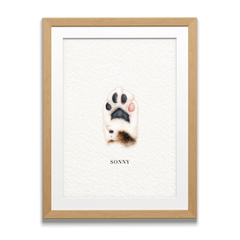 Gimme Paw Portrait