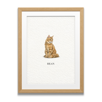 Pocket Pet Portraits