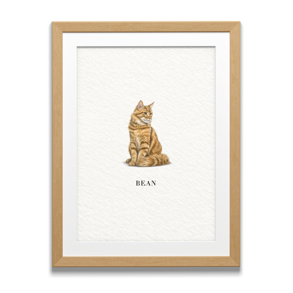 Pocket Pet Portraits