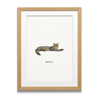 Pocket Pet Portraits