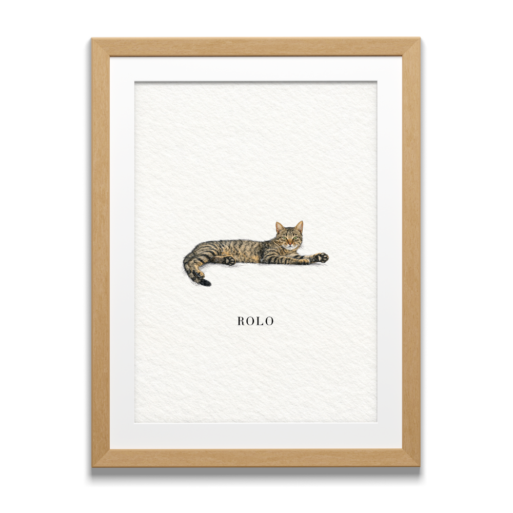 Pocket Pet Portraits