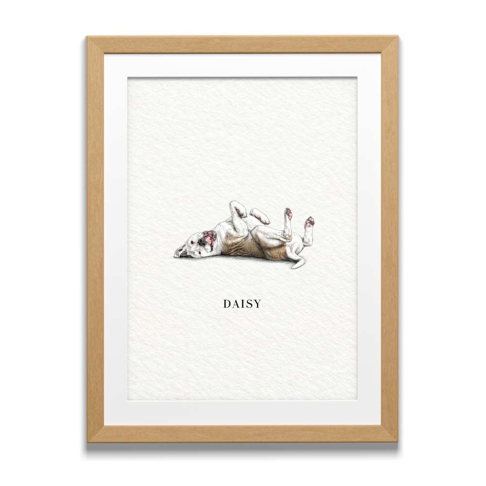 Pocket Pet Portraits