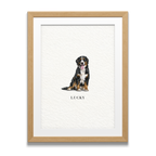 Pocket Pet Portraits