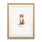 Pocket Pet Portraits