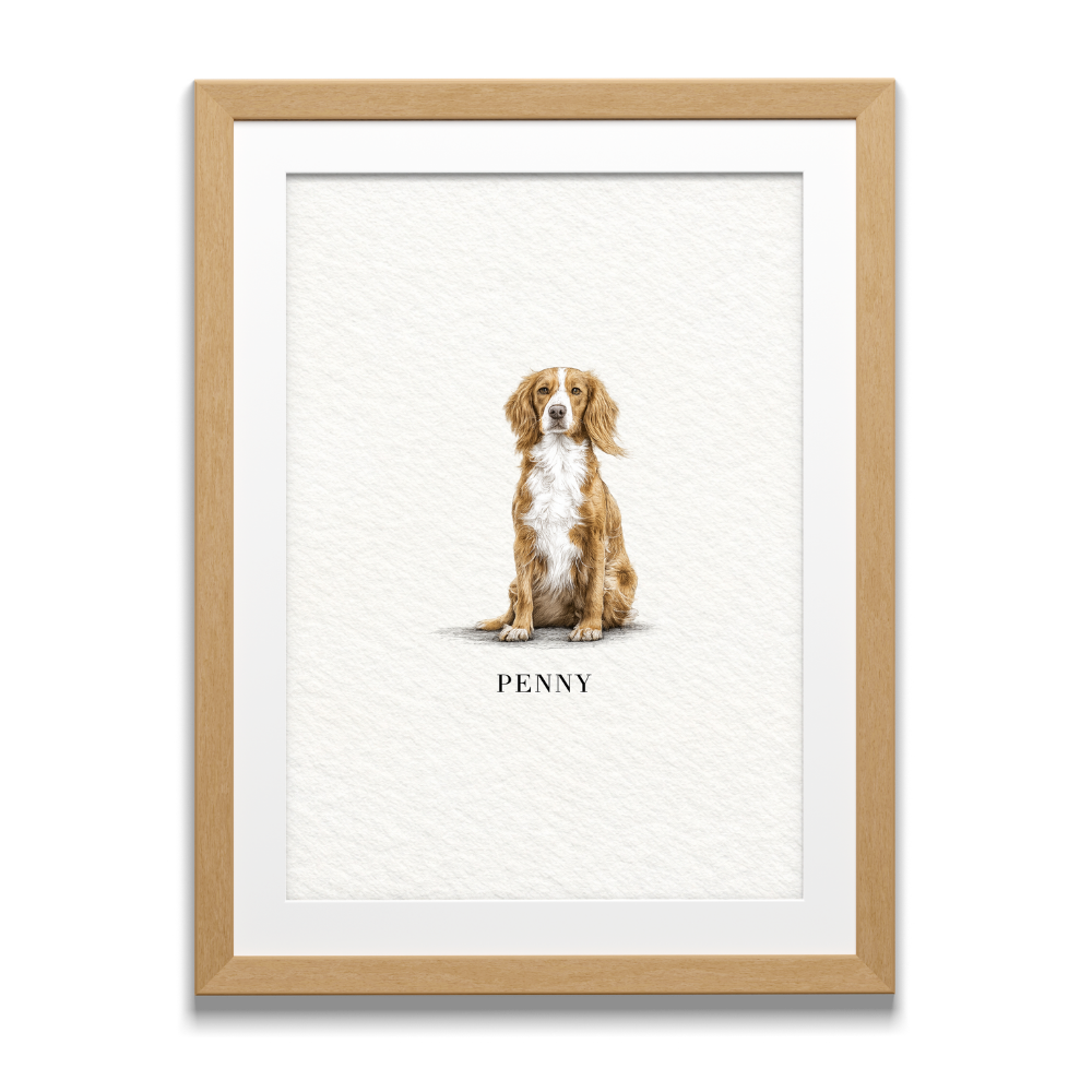 Pocket Pet Portraits